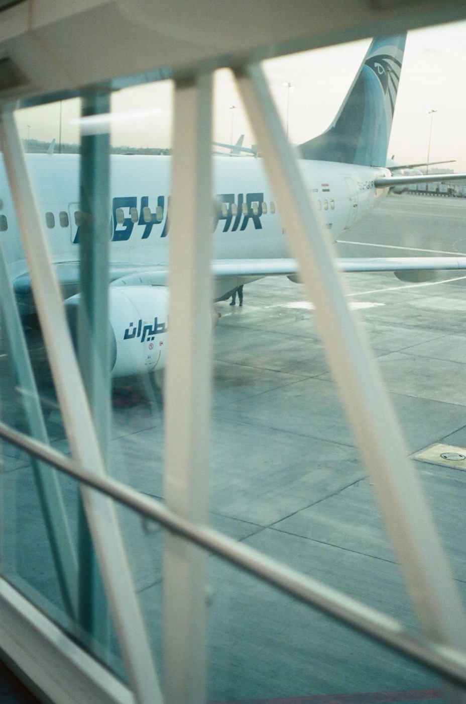 EgyptAir aircraft on the apron seen from the terminal