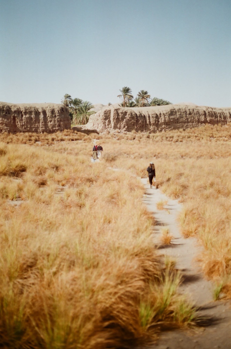 Figures walking the reed-lined bank of the Nile seen from the water