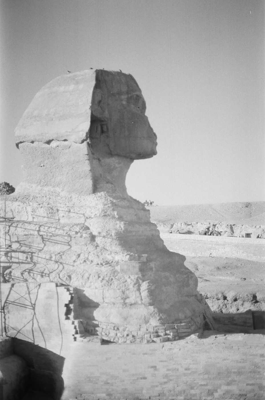The Sphinx in profile against open sky at Giza, shot on black and white film