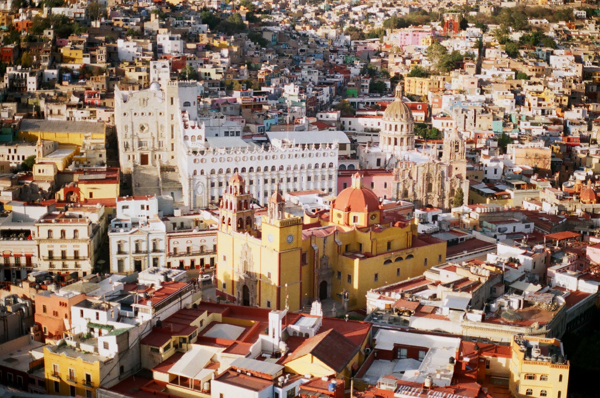 Guanajuato from above, the yellow basilica among the rooftops