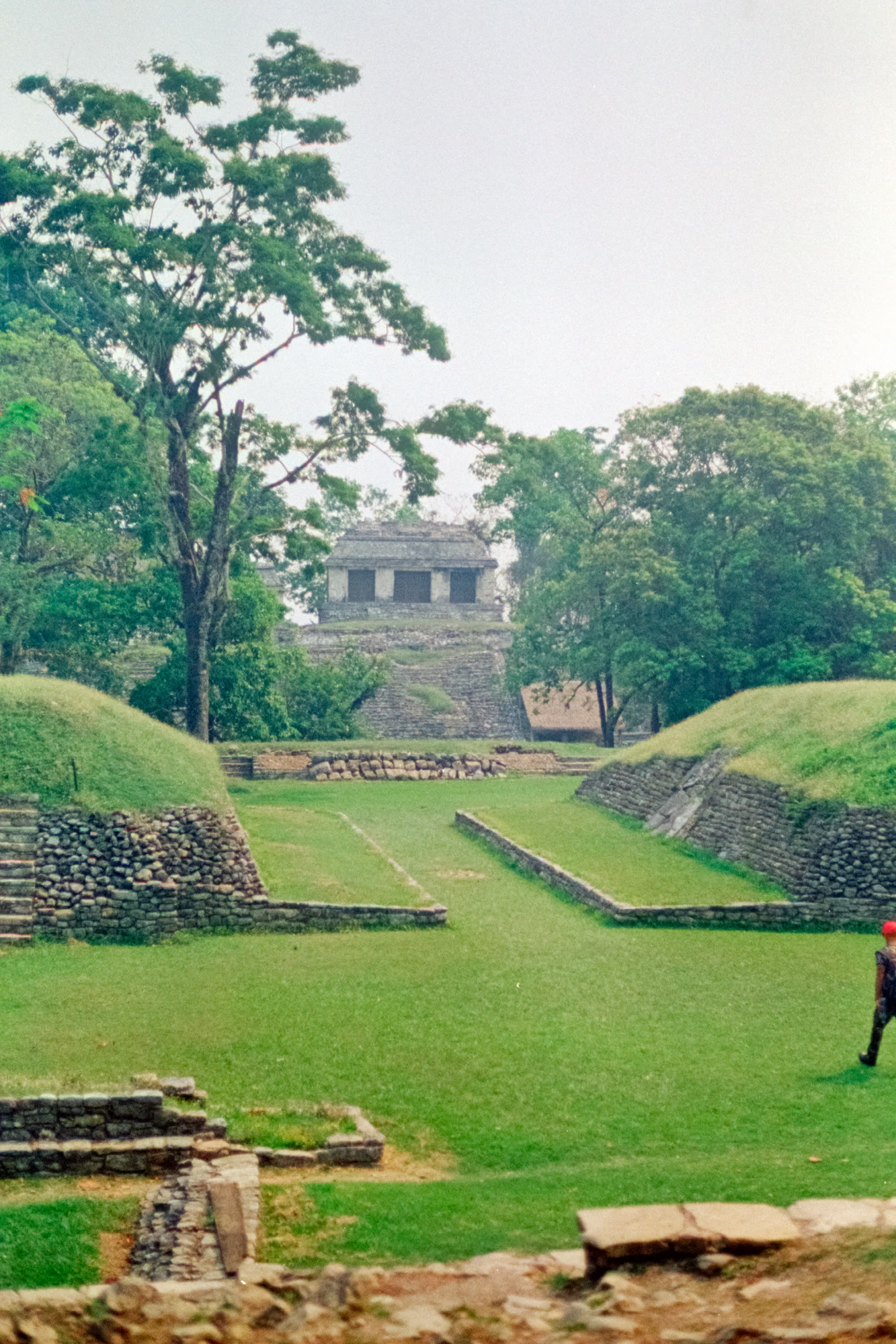 The ball court at Palenque with a temple beyond the treeline