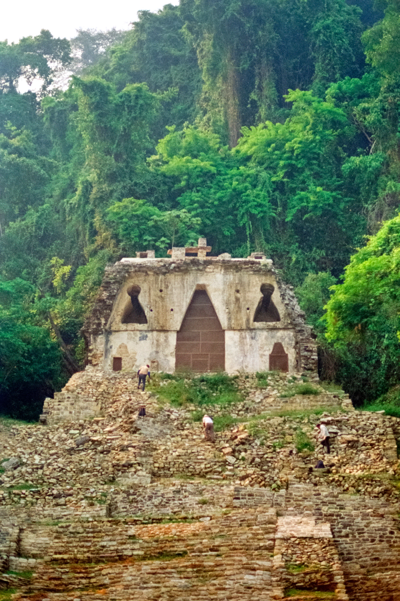 A Palenque temple standing against the jungle wall, visitors on the steps