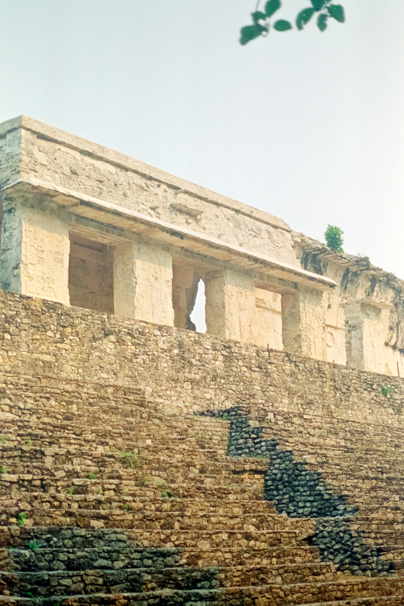 Stone terraces and a colonnaded temple at Palenque