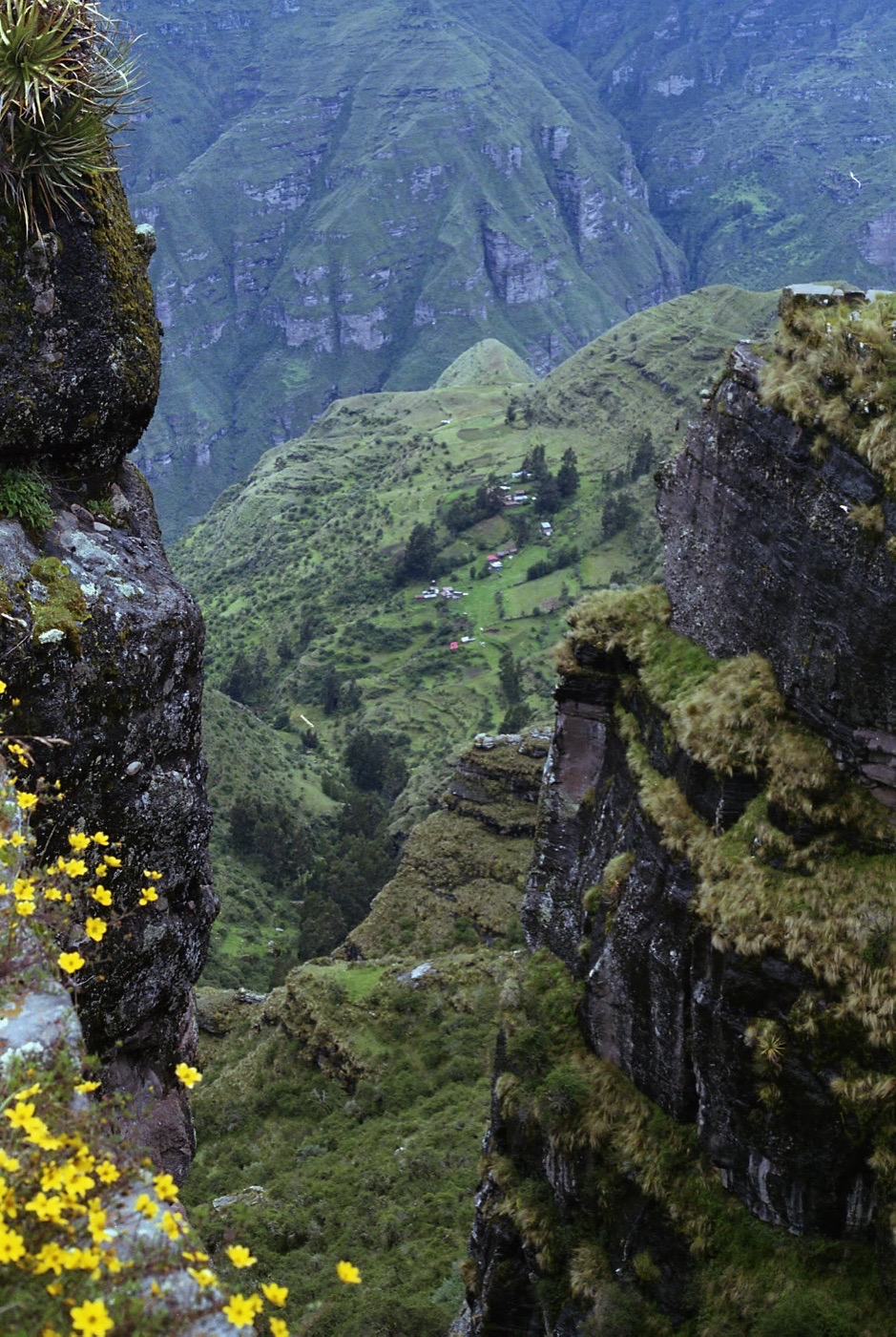 A steep green gorge falling away below the trail