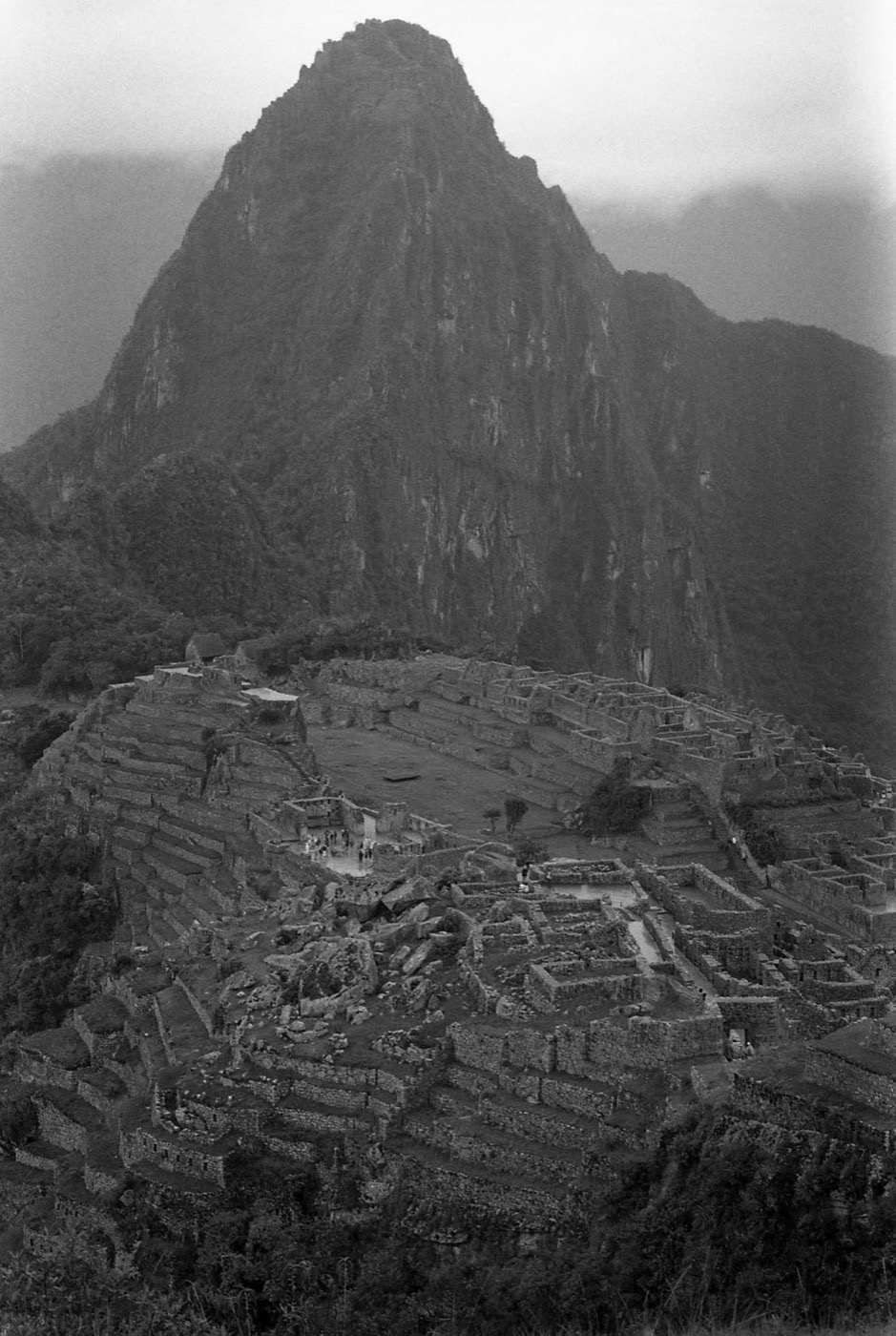 Huayna Picchu rising above the ruins in black and white