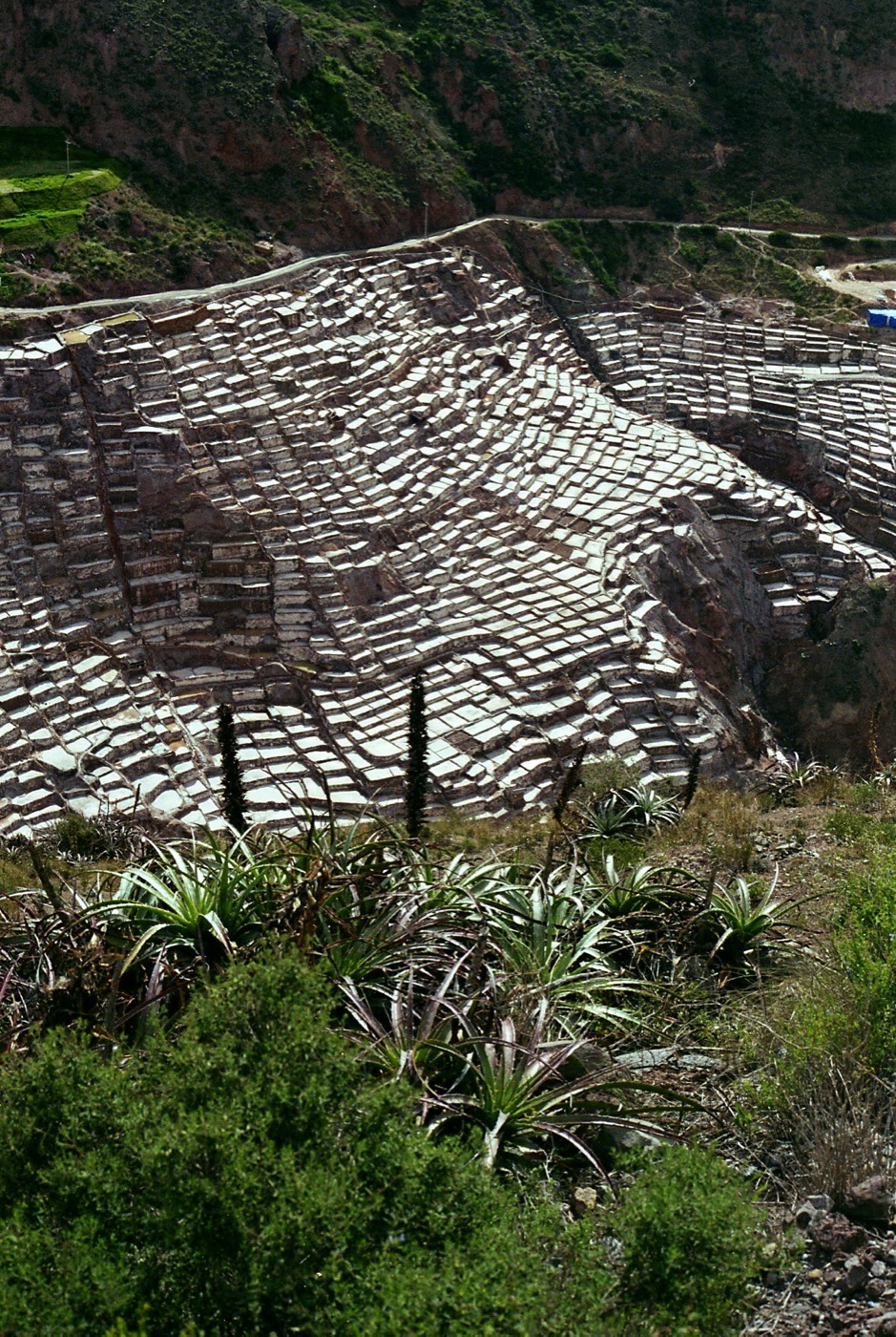 The salt pans of Maras stepping down the hillside