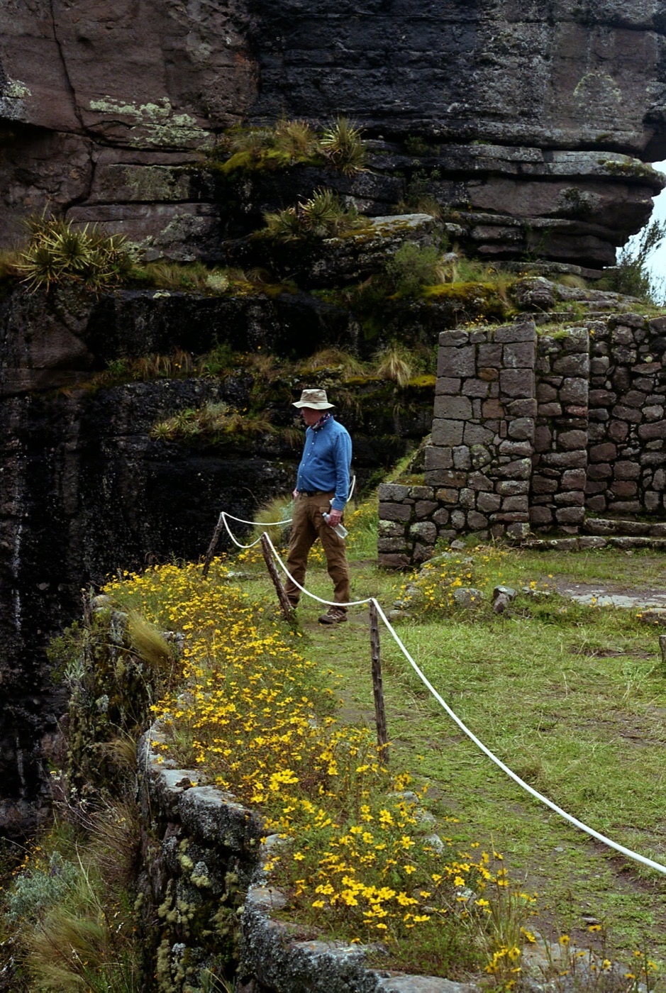 A traveler on an Inca terrace above a field of yellow flowers