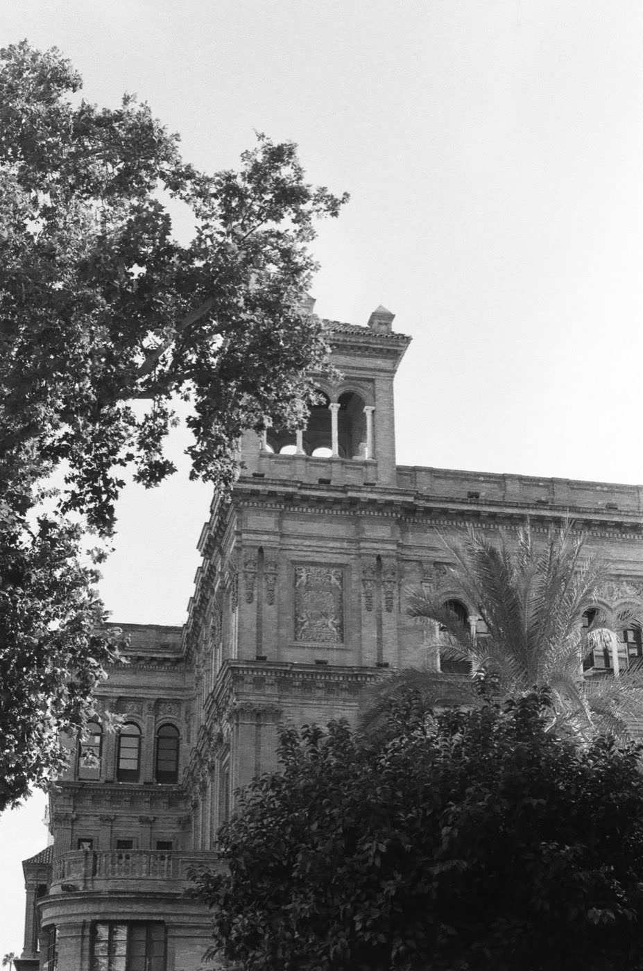 A grand carved facade rising behind palms and plane trees, shot on black and white film