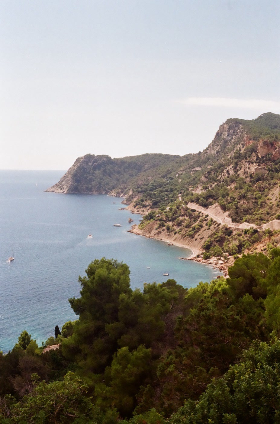 Pine-covered cliffs above the turquoise water of the Ibiza coast