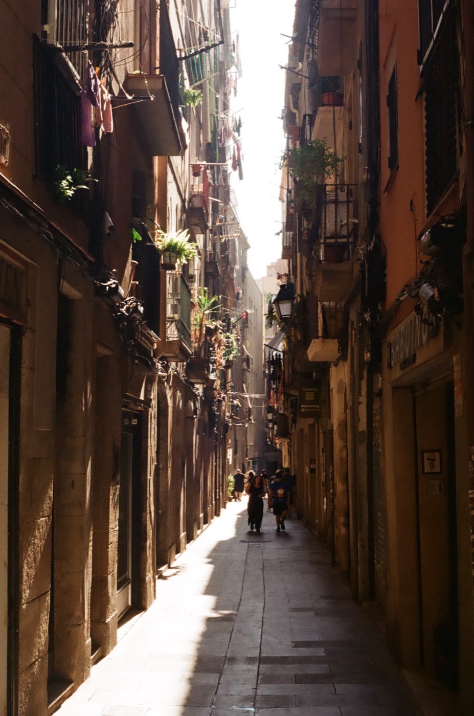 Late sun down a narrow street lined with plants and shuttered balconies