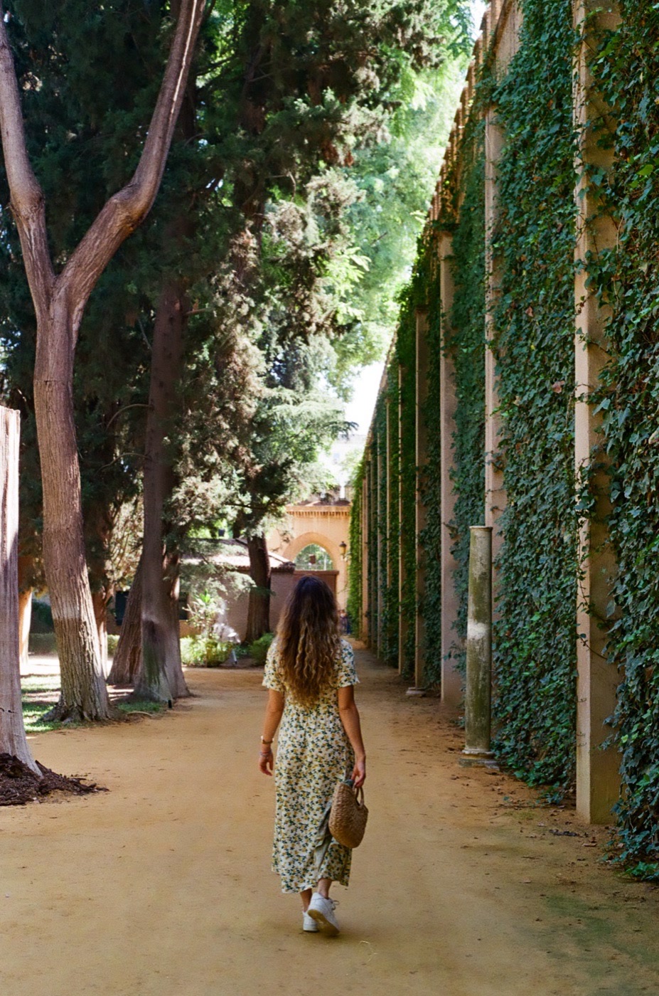 A traveler climbing ivy-edged steps beneath old cypress trees in Sevilla
