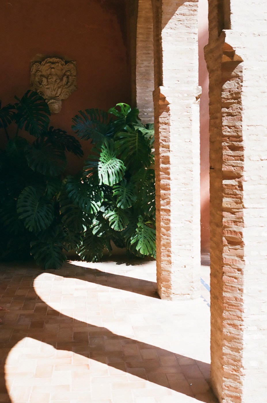 Sunlight falling across tiled steps and a monstera in a shaded Sevilla courtyard